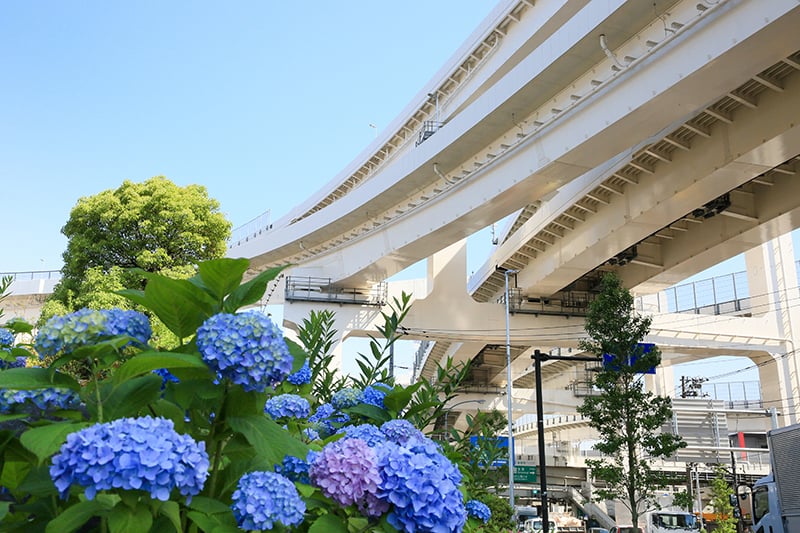 PS01_shutoko_02