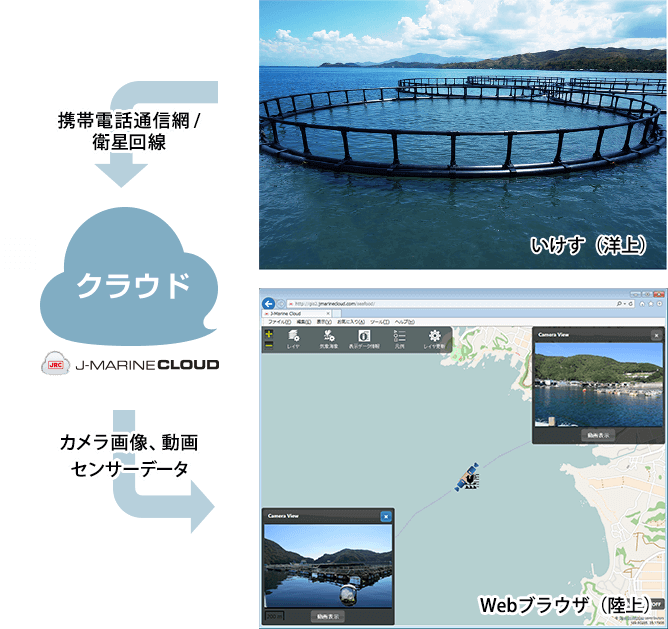 img-product-ikesu04