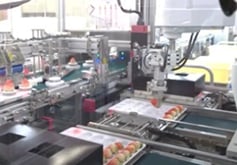 Strawberry Sorting Solution01