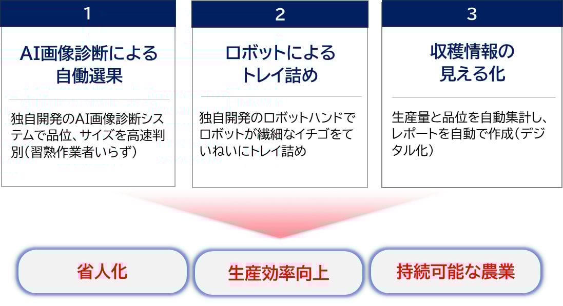 Strawberry Sorting Solution02