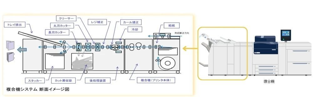 cross-sectional-image
