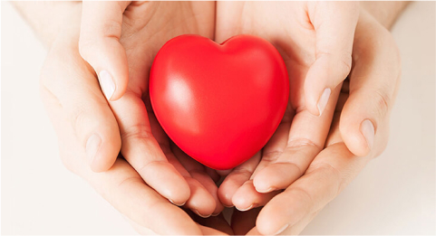 thumb_sustainability_01