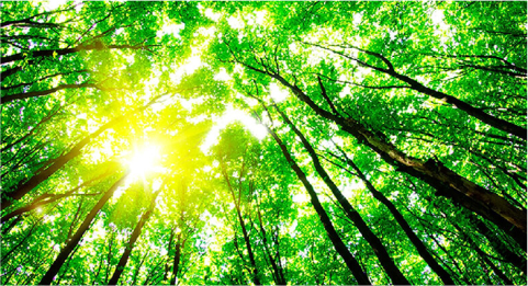 thumb_sustainability_02