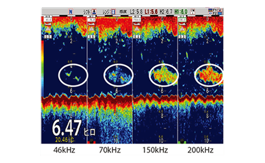 Quad frequency