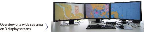 Wide-area Overview by Expansion Displays (Option)