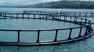 Fish Cage Monitoring System