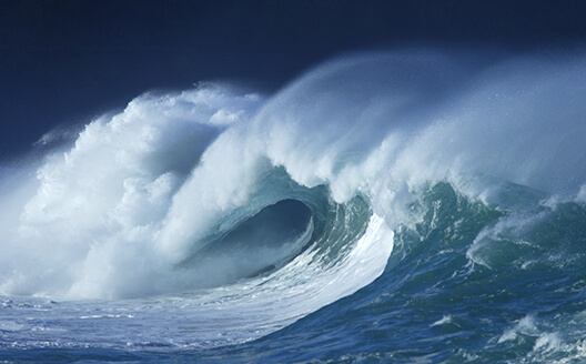 Earthquake and Tsunami Information Receiving and Warning System
